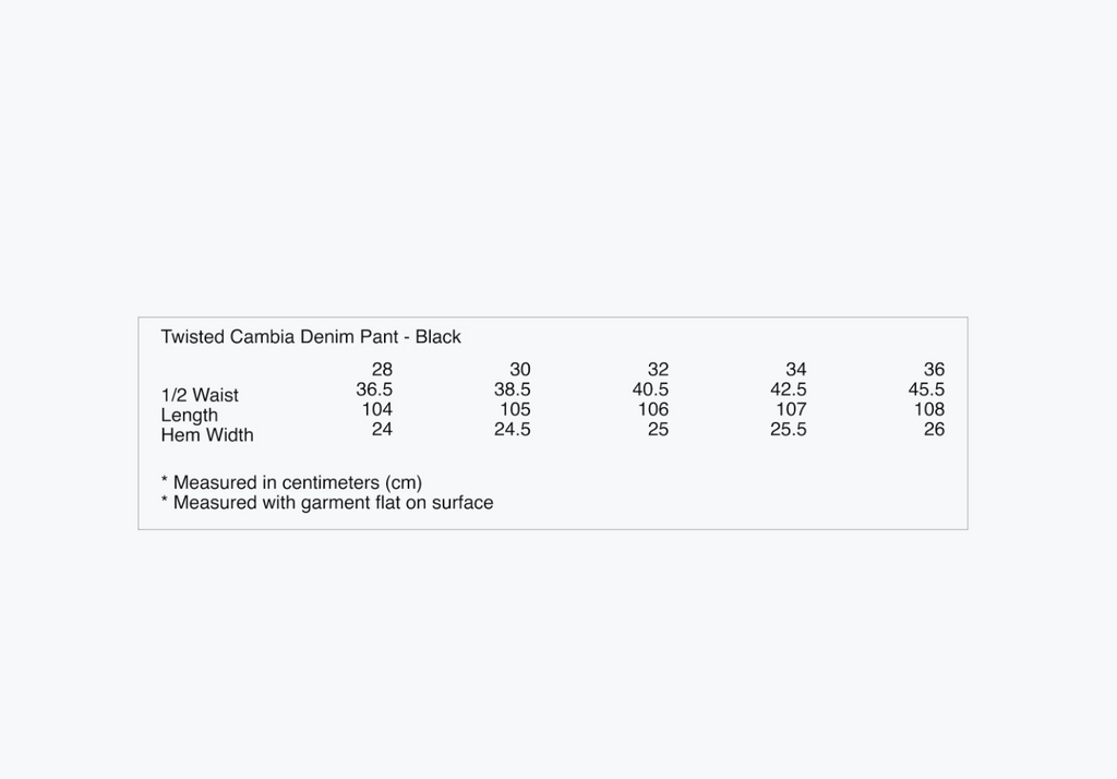 Observe (オブサーブ) / Twisted cambia denim pants Black