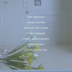 MAGNIFF (マグニフ) / "Empty House" eau de parfume 45ml