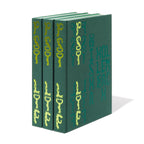 1729 project / PSY LYF  - Misha Hollenbach B