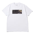 1729 project / SETTING TRAPS  T-shirt