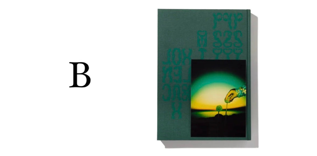 1729 project / PSY LYF  - Misha Hollenbach B