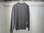 BISOWN ( ビソウン ) / CASHIMERE B VNECK MENS GRAY